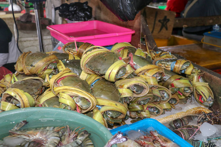 特写镜头 对虾 市场 商店 章鱼 营养 甲壳类动物 泰国