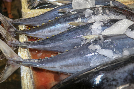 市场 海的 面包 自然 金巴兰 海鲜 营养 烹饪 钓鱼 三文鱼