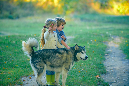 小孩牵狗图图片