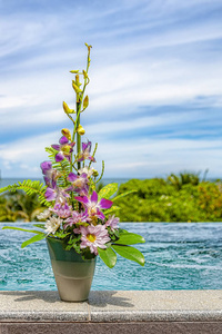 泰国 美女 亚洲 水塘 花的 花瓣 开花 盛开 花束 夏天