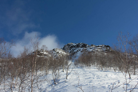 冬天 风景 天空 森林 旅行 美丽的 全景图 自然 寒冷的