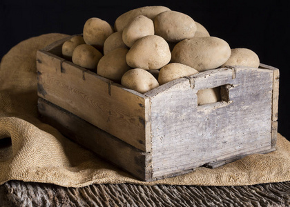 栽培 解雇 生的 块茎 薯条 存储 生产 木板 钉子 成长