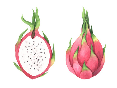 营养 健康 甜点 颜色 水果 维生素 自然 粉红色 插图