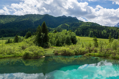 假期 观光 吸引力 世界 美丽的 斯洛文尼亚 夏天 标准