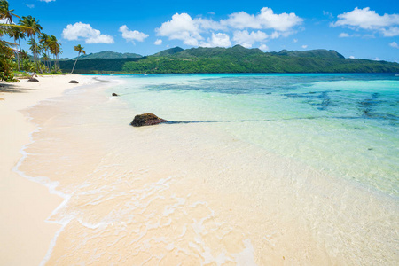 假期 海滩 目的地 海岸 放松 假日 海洋 海湾 旅游业