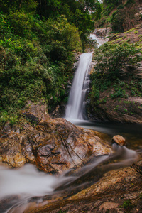 环境 树叶 自然 公园 小溪 瀑布 放松 冒险 旅游业 风景