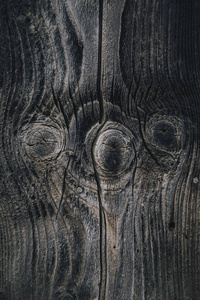 粮食 地板 材料 古老的 森林砍伐 面板 自然 木板 硬木