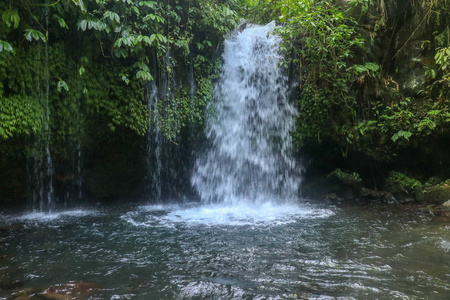 植物 丛林 流动的 紫色 岩石 旅游业 春天 巴厘岛 美女