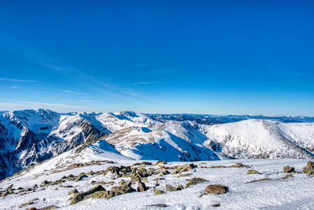 自然 寒冷的 范围 冬天 阿尔卑斯山 全景图 冰川 高的