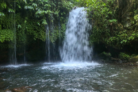 美丽的 流动 春天 风景 精彩的 森林 旅行 自然 旅游业