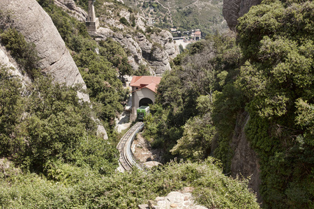 公园 森林 植物 旅游业 旅行 风景 建筑学 旅行者 自然