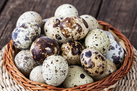 美食家 农场 食物 动物 自然 早餐 产品 鹌鹑 复活节