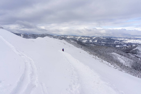 山谷 塔特拉 风景 旅行 鞑靼 滑雪 鞑靼人 高的 小山