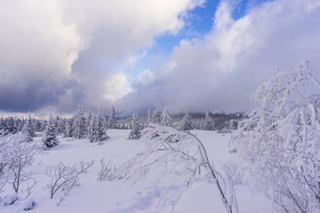 冬天 波兰 寒冷的 首脑会议 鞑靼 旅游业 旅行 滑雪 风景