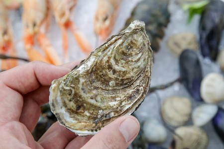 盘子 餐厅 贝类 烹饪 软体动物 自然 晚餐 生的 特写镜头