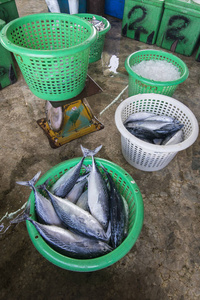 海鲜 市场 地标 鱼市 亚洲 泰国 金枪鱼