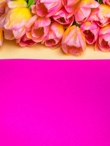 植物 前进 美丽的 春天 颜色 浪漫的 花瓣 多色 墙纸
