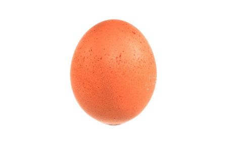 营养 母鸡 早餐 复活节 农场 生的 蛋黄 椭圆形 蛋白质