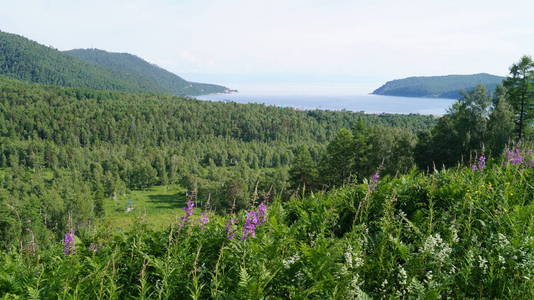 乡村 旅行 春天 美丽的 草地 风景 农业 小山 夏天 国家