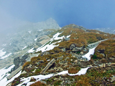 攀登 石头 旅行 小山 阿尔卑斯山 旅游业 悬崖 美丽的