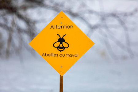 野生动物保护工作黄色黄色路标警告蜜蜂照片