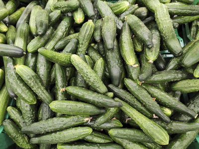 饮食 蔬菜 食物 烹饪 市场 自然 特写镜头 黄瓜 健康