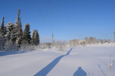 降雪 天气 太阳 冬日 旅行 早晨 冷冰冰的 暮光 十二月