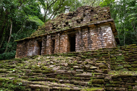 寺庙 墨西哥人 雕塑 美国 旅行 自然 宫殿 建筑学 废墟