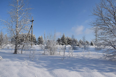 暴风雪 圣诞节 冬天 降雪 太阳 天气 公园 旅行 寒冷的