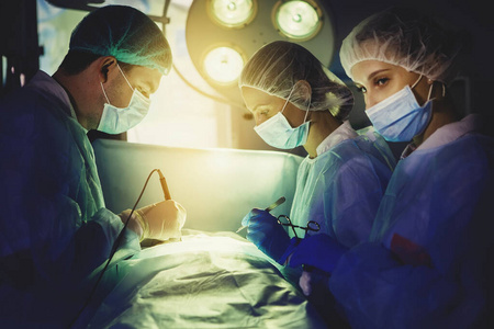 乳胶 外科手术 医疗保险 专业人员 临床 操作 诊所 医疗保健