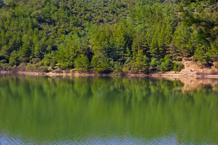 伍兹 森林 自然 池塘 美丽的 夏天 镜子 公园 反射 天空