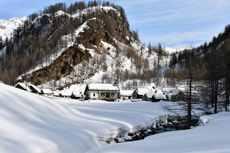 意大利 自然 阿尔卑斯山 滑雪 季节 冬天 旅行 森林 寒冷的