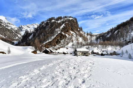 森林 风景 冬天 斜坡 季节 天空 自然 旅行 欧洲 意大利