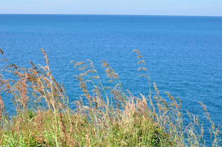 美女 夏天 海岸 旅行 海洋 太阳 阳光 场景 海岸线 地平线