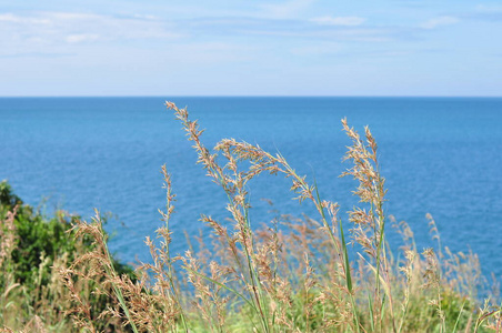 夏天 海滩 风景 美丽的 假期 海洋 公园 地中海 地平线