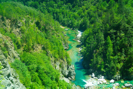 旅游业 夏天 颜色 美丽的 旅行 自然 森林