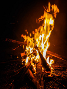 优雅 发光 危险 肖像 假期 自然 壁炉 露营 创造力 火焰