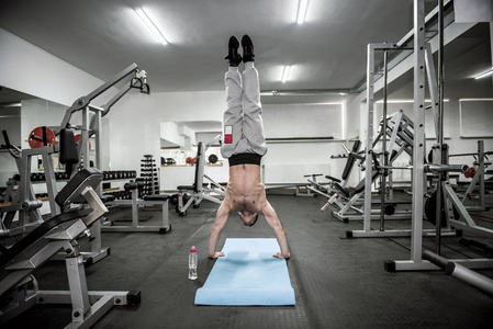 健康 运动 建筑 锻炼 训练 运动型 肱二头肌 权力 力量
