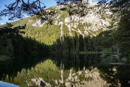 美丽的 阿尔卑斯山 公园 旅游业 风景 欧洲 反射 自然