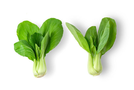 瓷器 植物 巴基斯坦 饮食 宝贝 生菜 蔬菜 烹饪 甘蓝