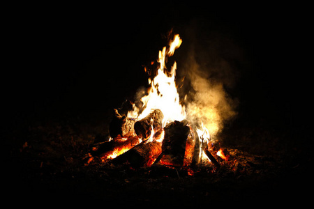 假期 旅游业 木柴 家庭 木材 燃烧 营地 徒步旅行 自然
