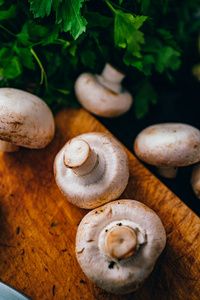 蘑菇 素食主义者 营养 食物 烹饪 蔬菜 真菌 饮食 自然