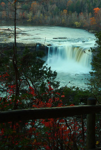 目的地 自然 环境 露营 秋天 公园 瀑布 旅行 森林 风景