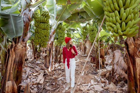 丰收的香蕉园里的女人图片