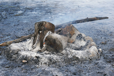 燃料 冬天 木材 温暖的 危险 篝火 森林 火焰 破坏 特写镜头