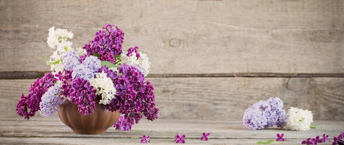 丁香花 紫罗兰 纹理 花束 花的 开花 陶瓷 紫色 古老的