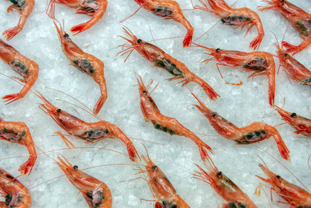 一只小龙虾图片