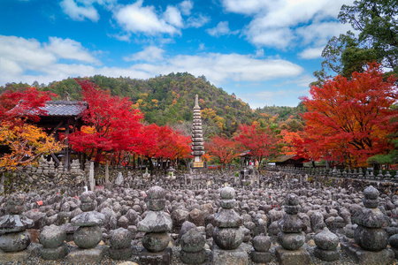 花园 圣地 宗教 自然 京都 日本 旅行 假期 佛教徒 枫树