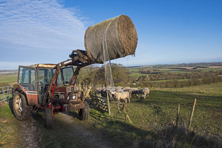 车辆 农事 轮胎 环境 风景 美丽的 山谷 乡村 外部 英国