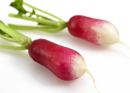 植物学 在室内 照片 食物 蔬菜 萝卜